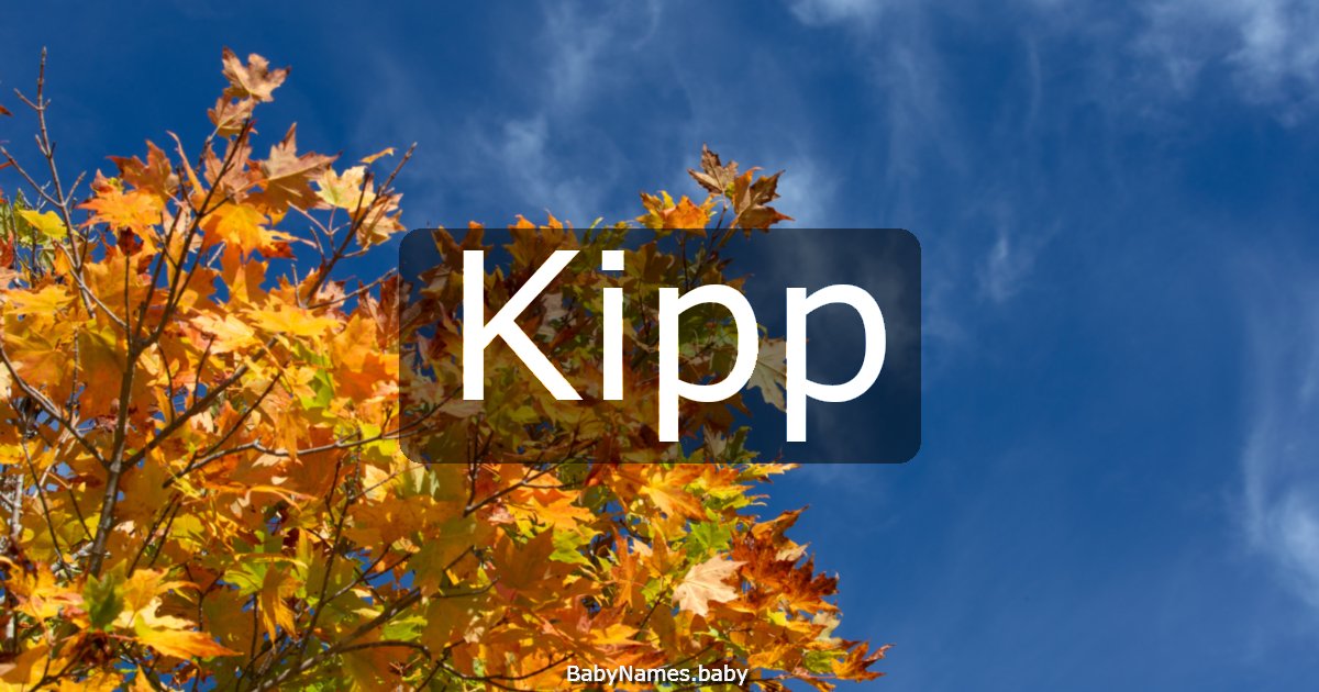 Kipp