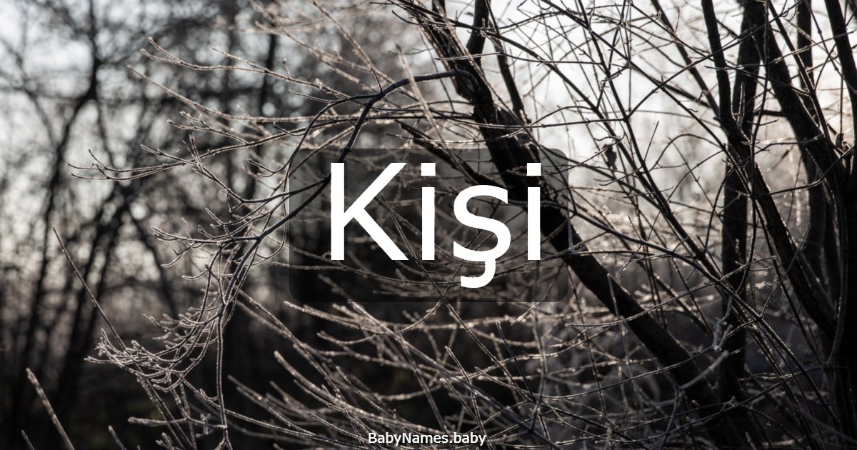 Kişi