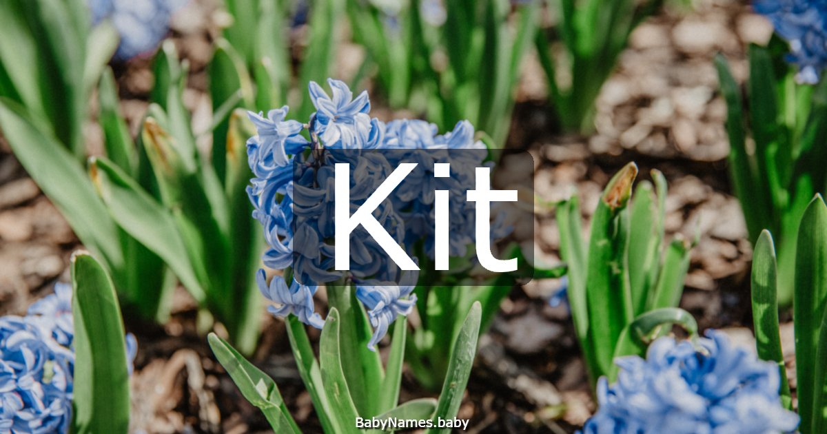 Kit