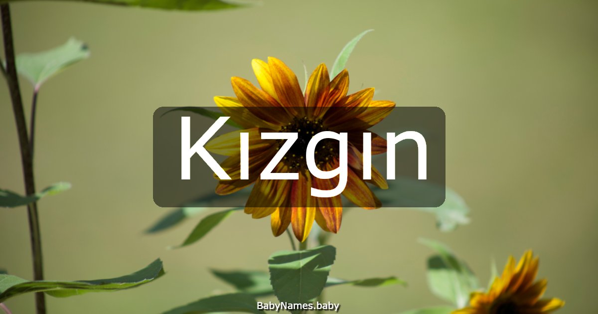 Kızgın