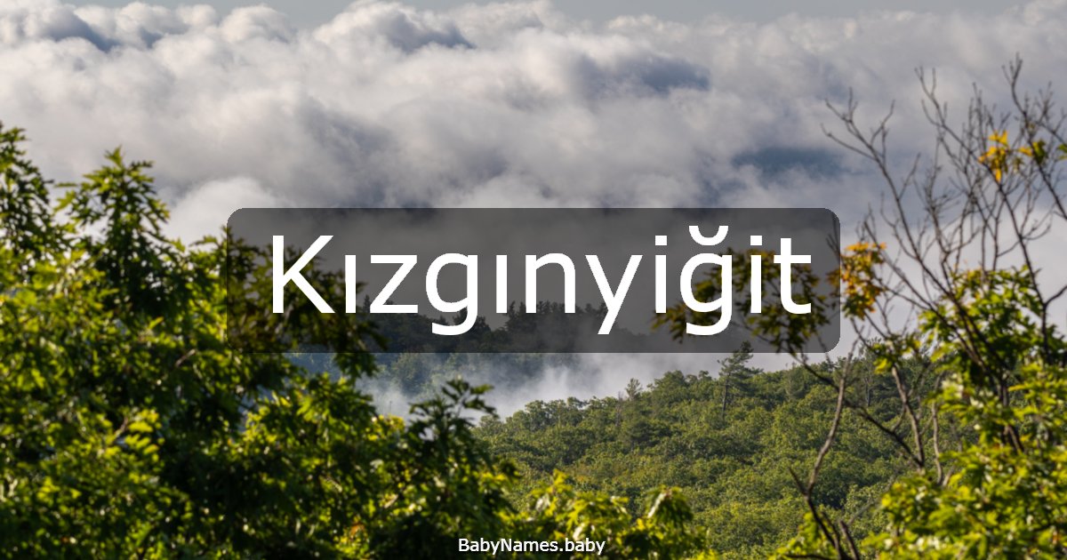 Kızgınyiğit