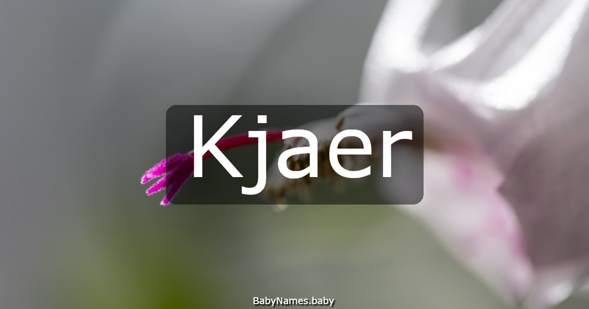 Kjaer