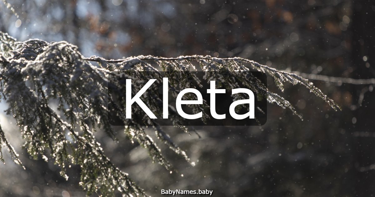 Kleta