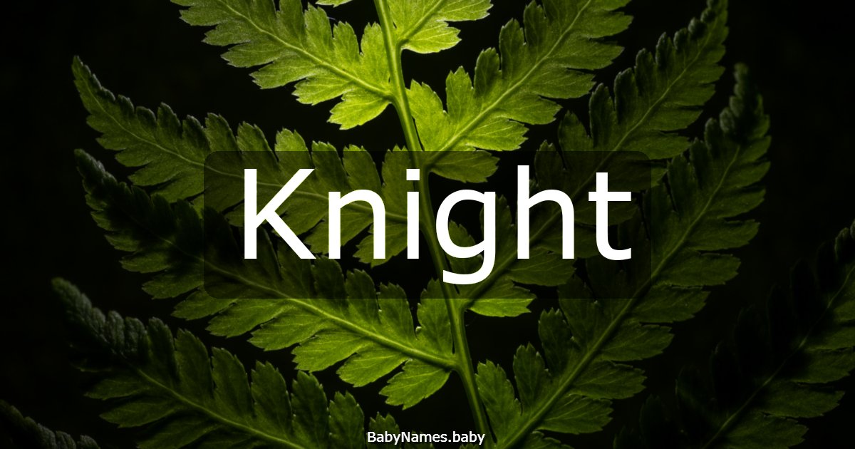 Knight