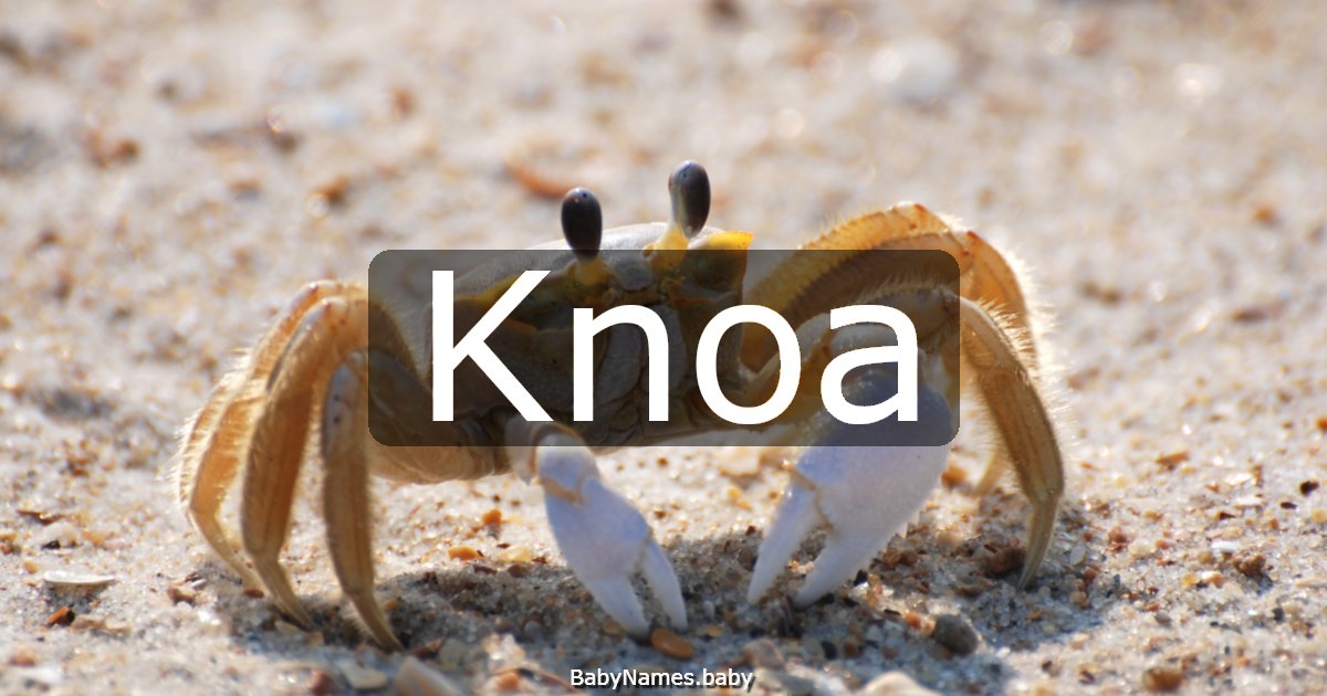 Knoa