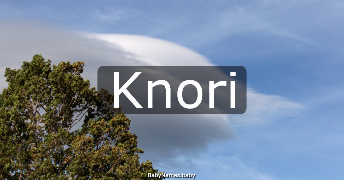 Knori