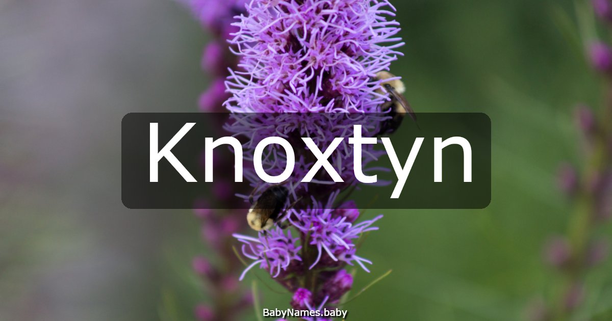 Knoxtyn