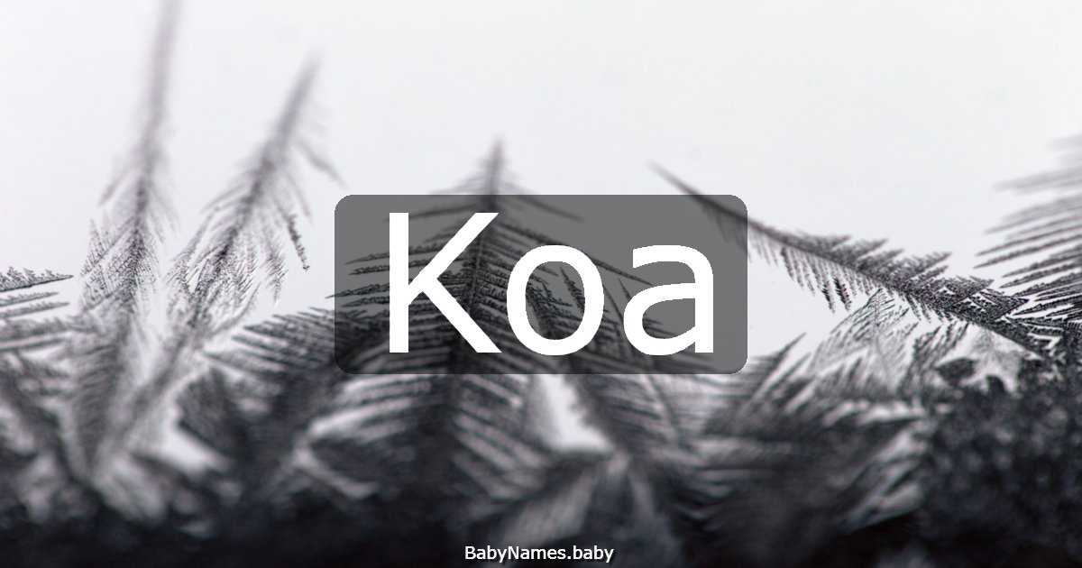 Koa