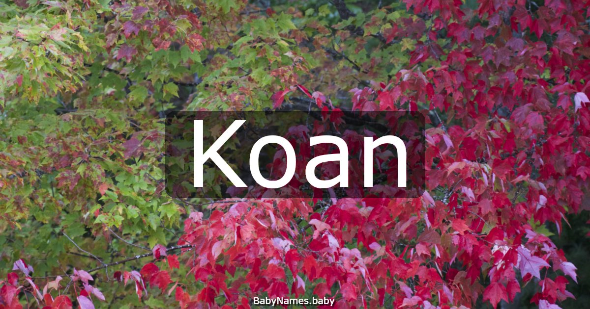 Koan