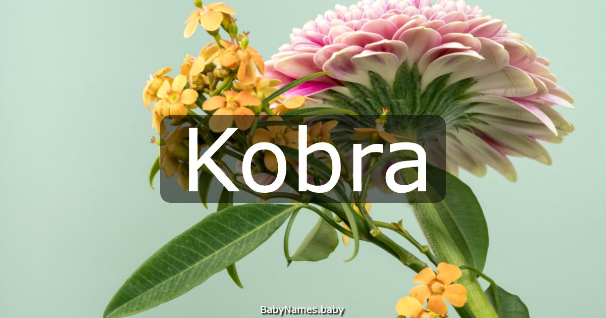 Kobra