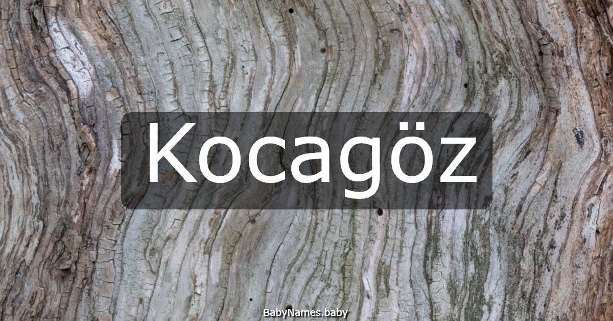 Kocagöz