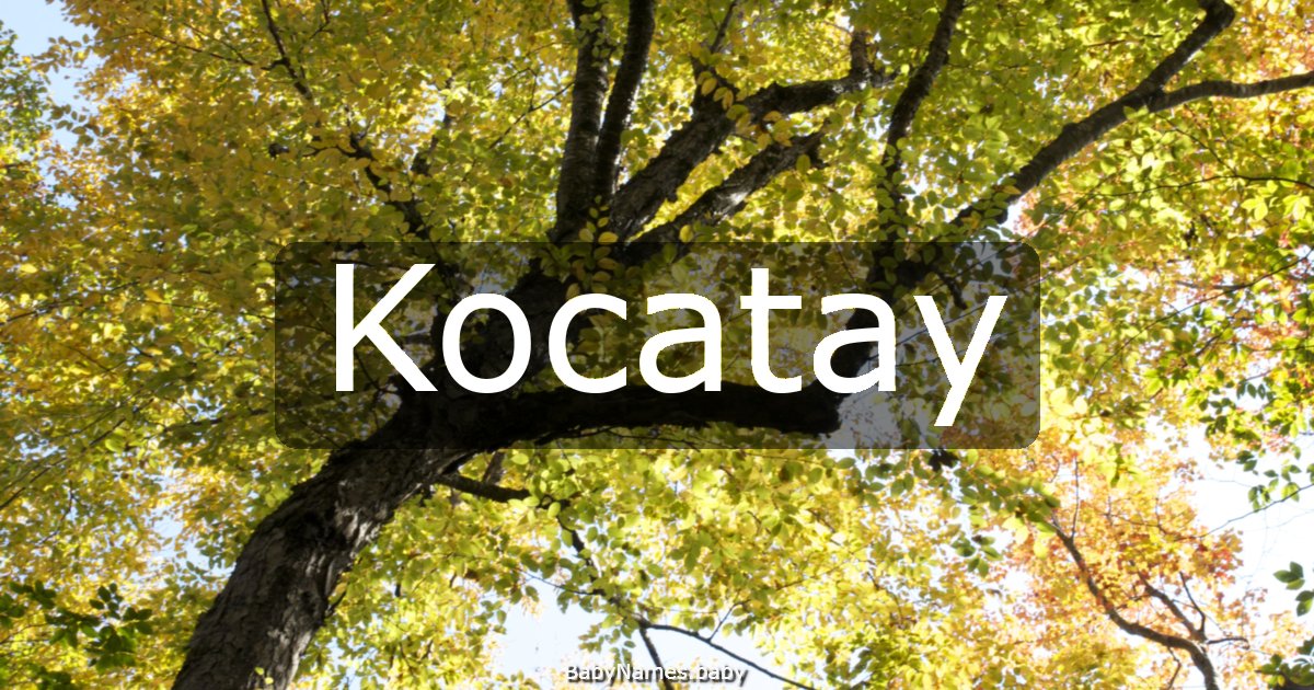Kocatay