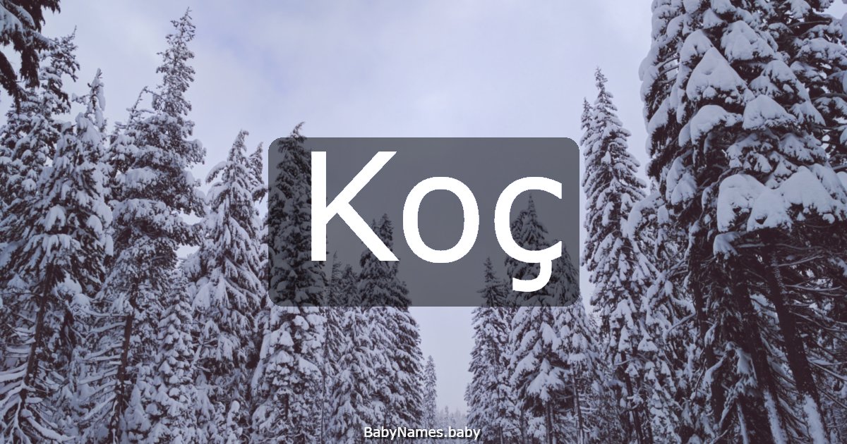 Koç