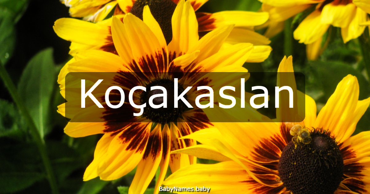 Koçakaslan