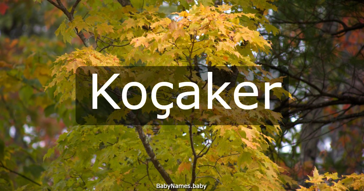 Koçaker