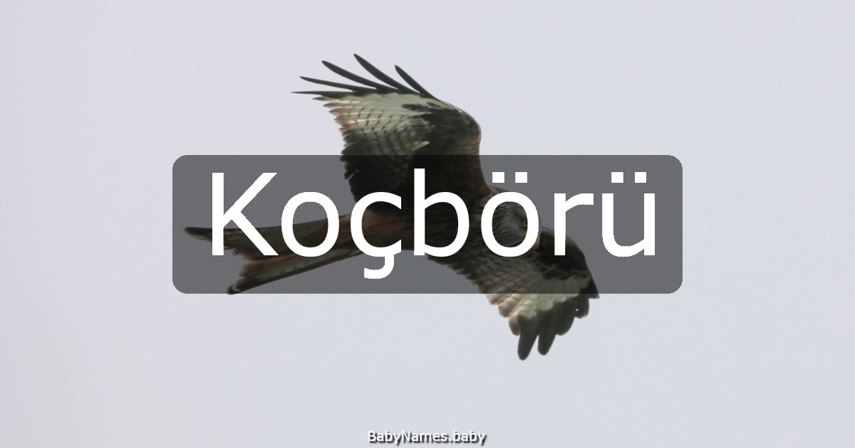 Koçbörü