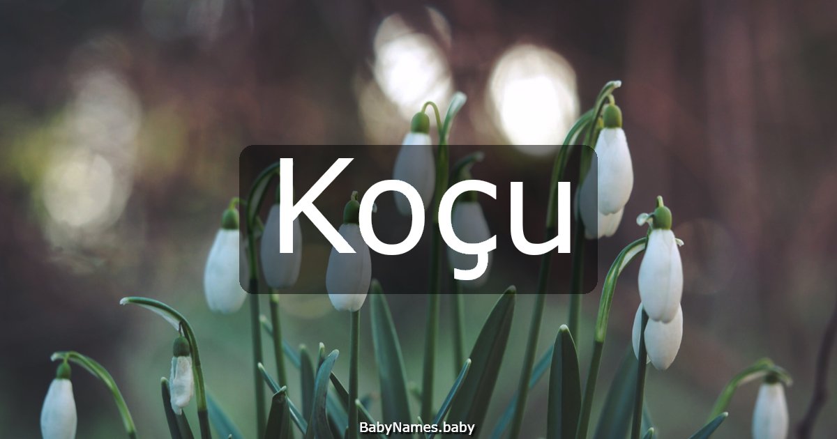 Koçu