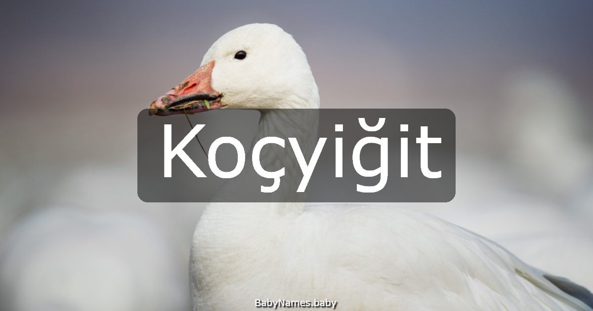 Koçyiğit