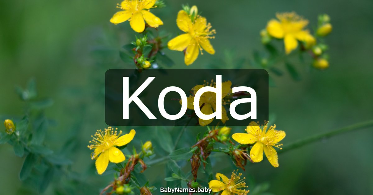 Koda