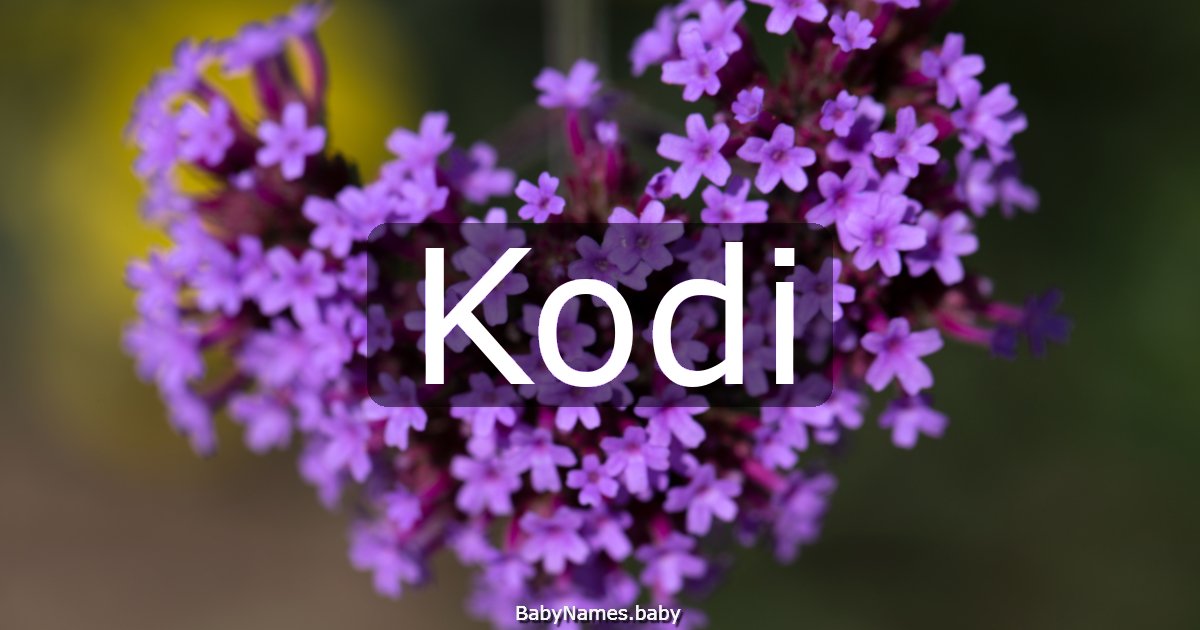 Kodi