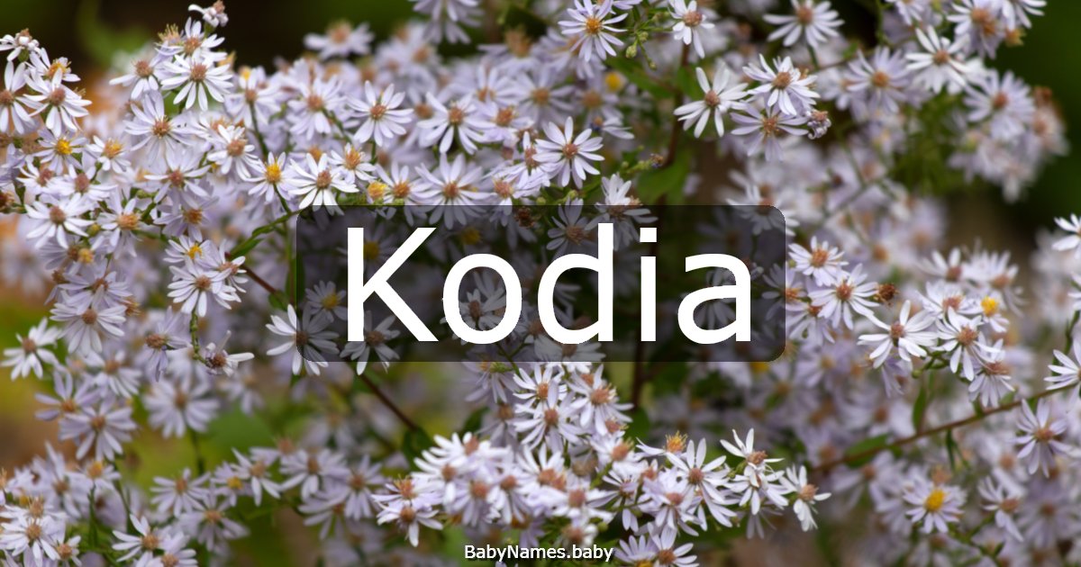 Kodia