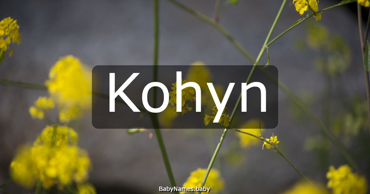 Kohyn