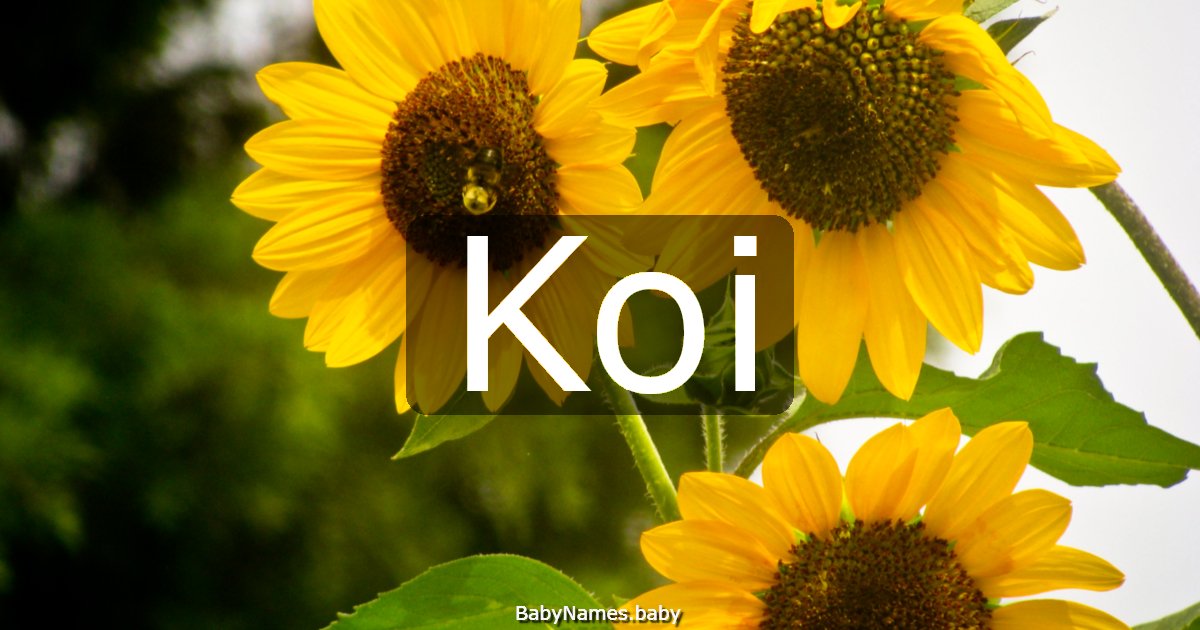 Koi