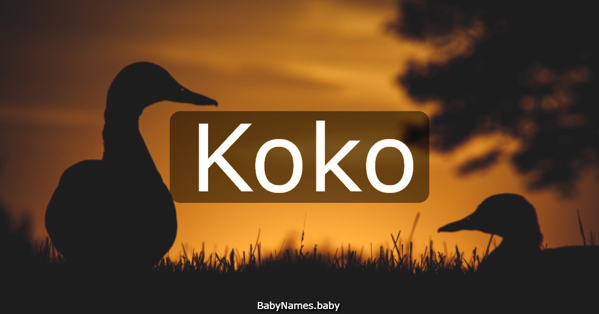Koko