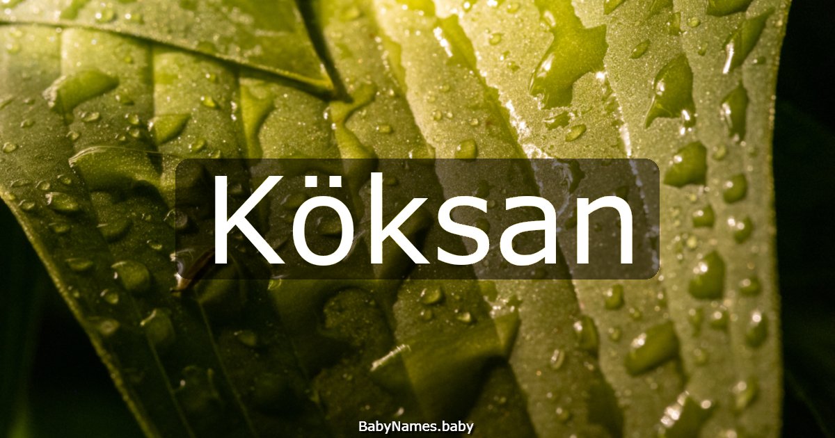 Köksan