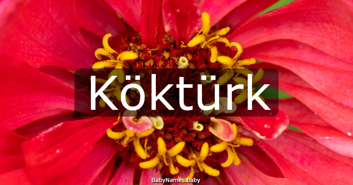 Köktürk