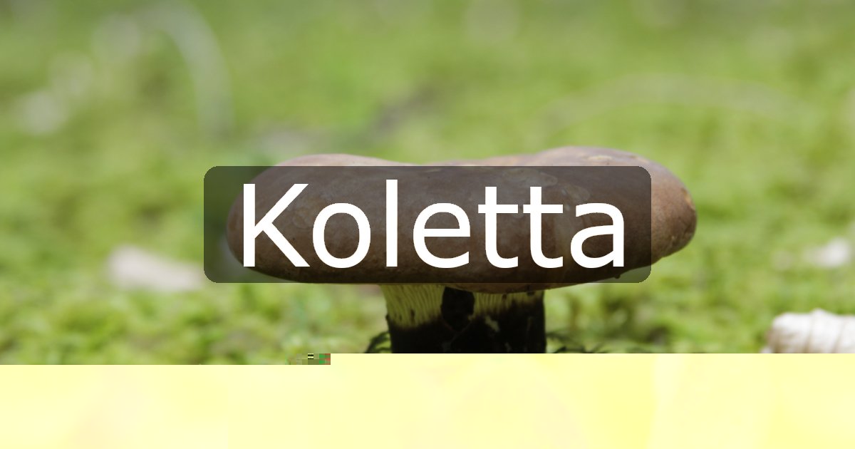 Koletta