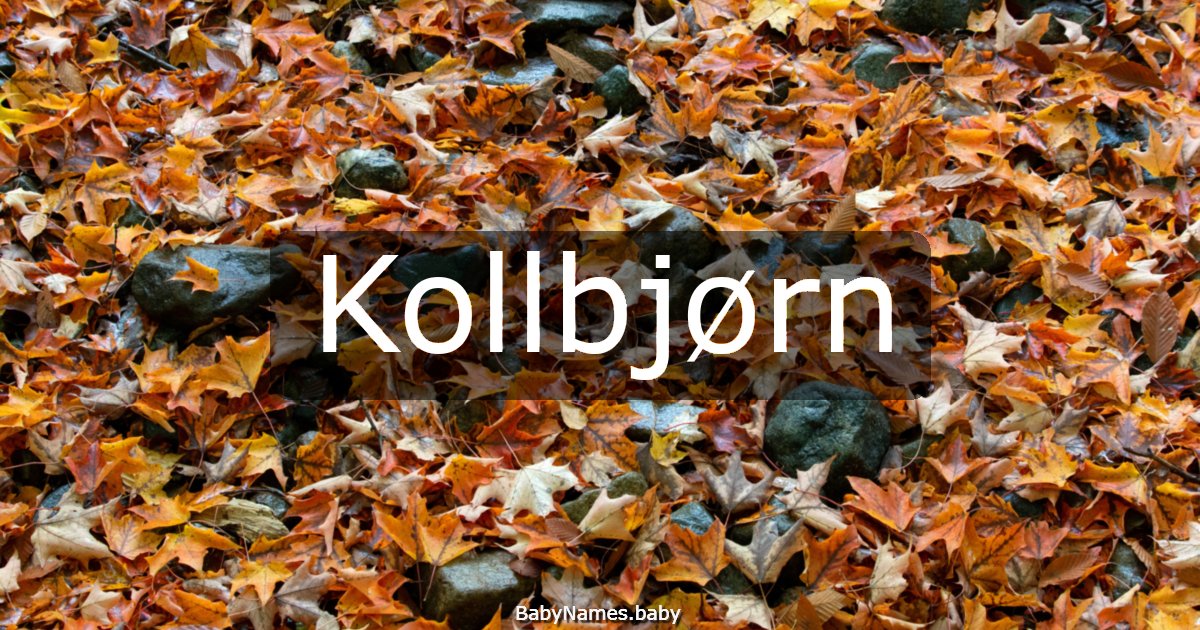 Kollbjørn