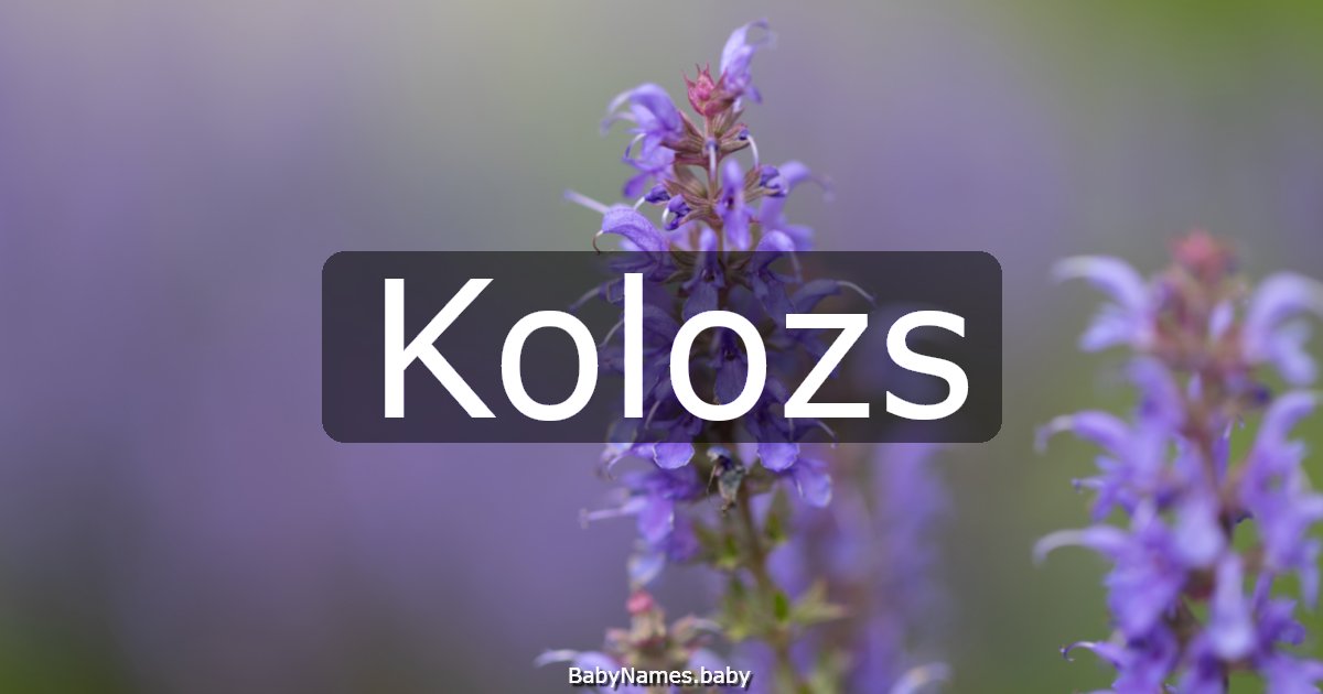 Kolozs
