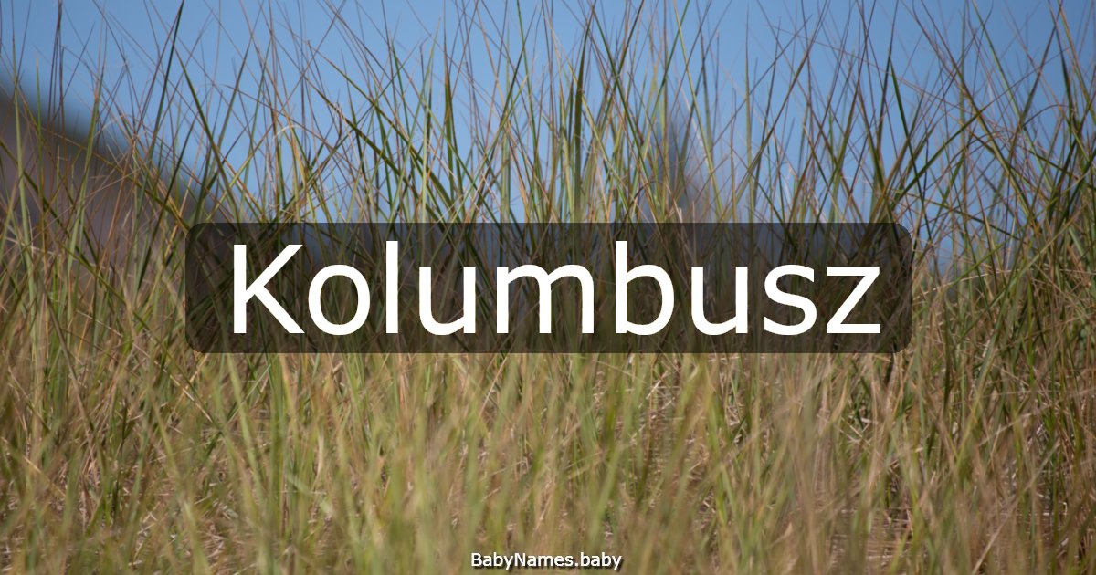 Kolumbusz