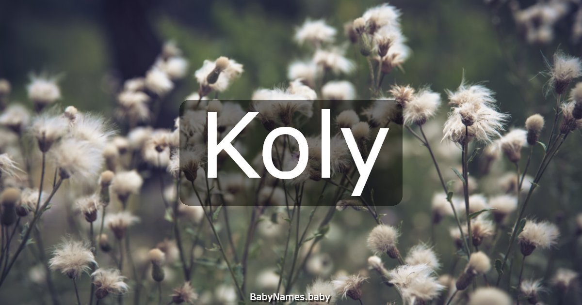 Koly
