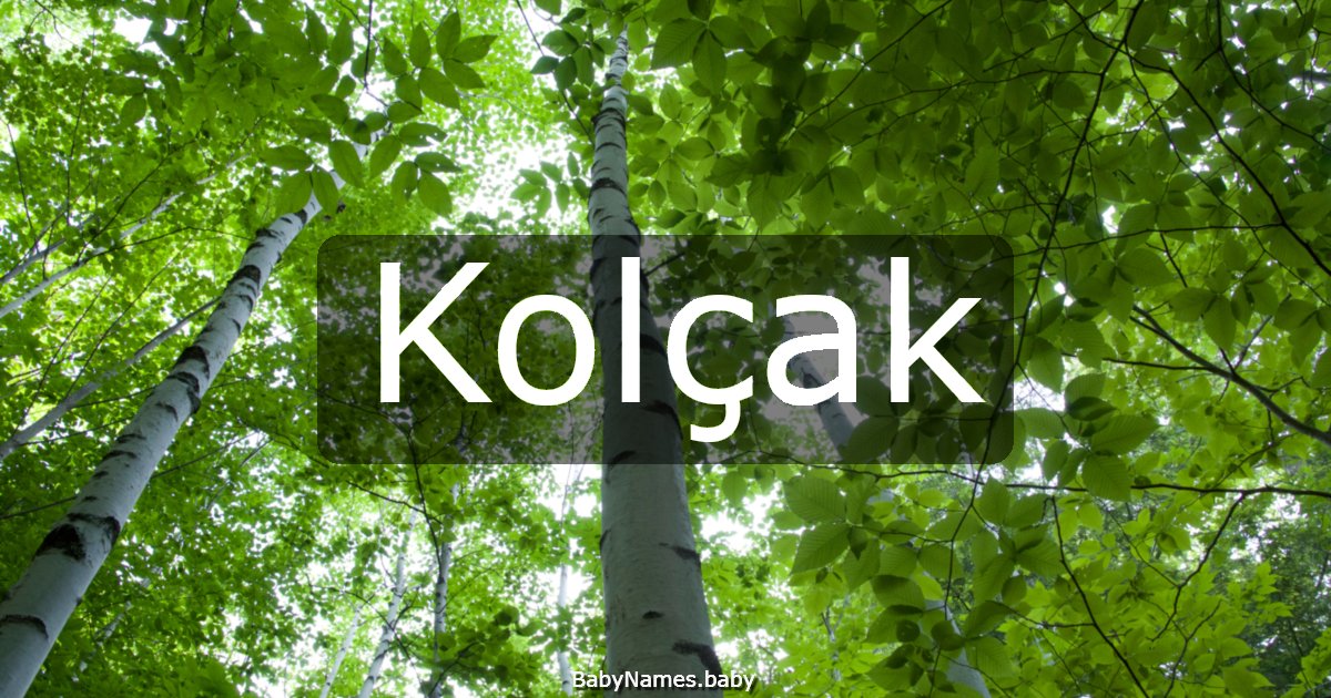 Kolçak