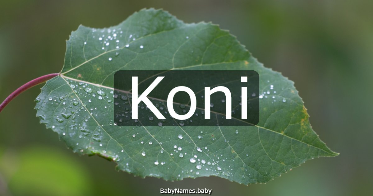 Koni