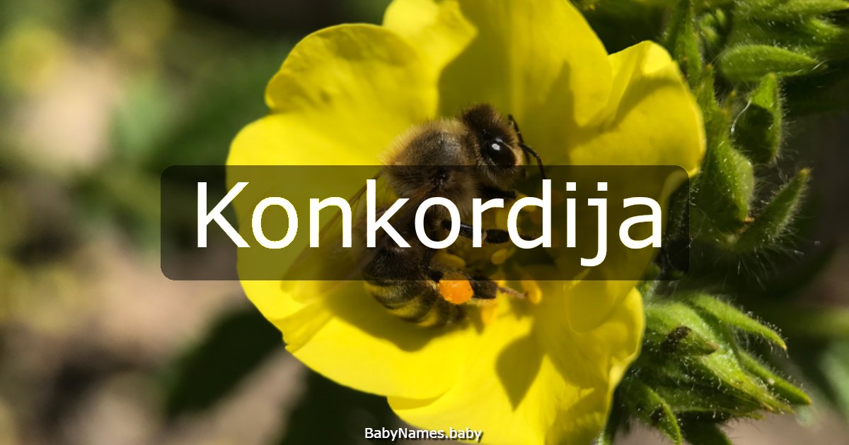 Konkordija