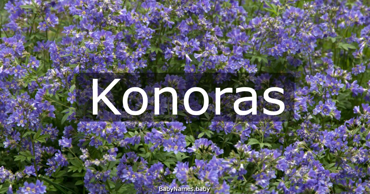 Konoras