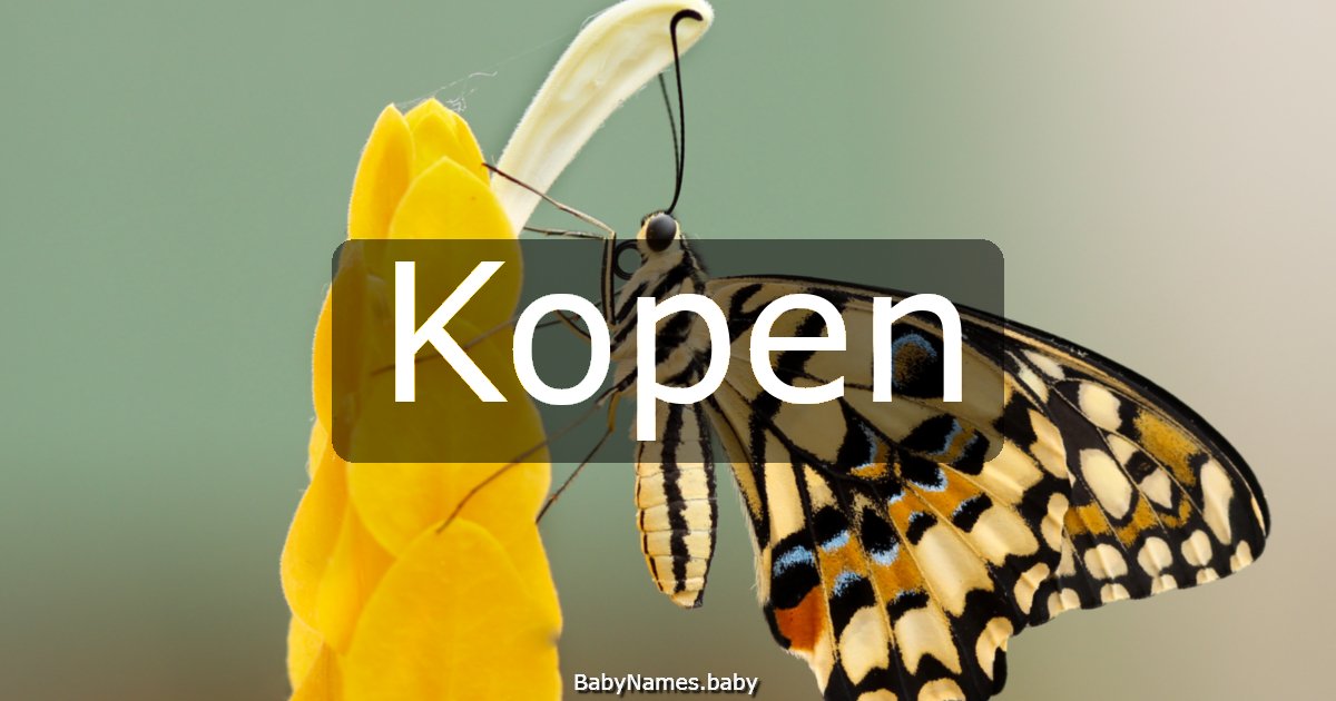 Kopen