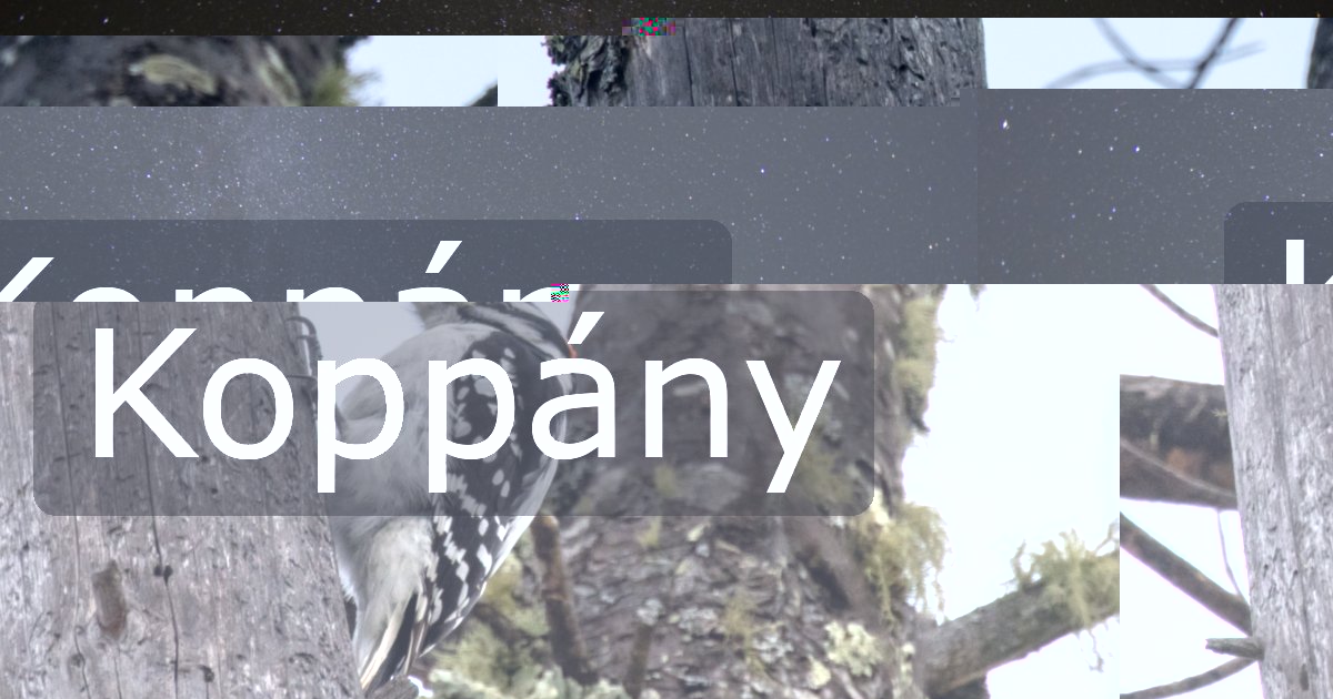 Koppány