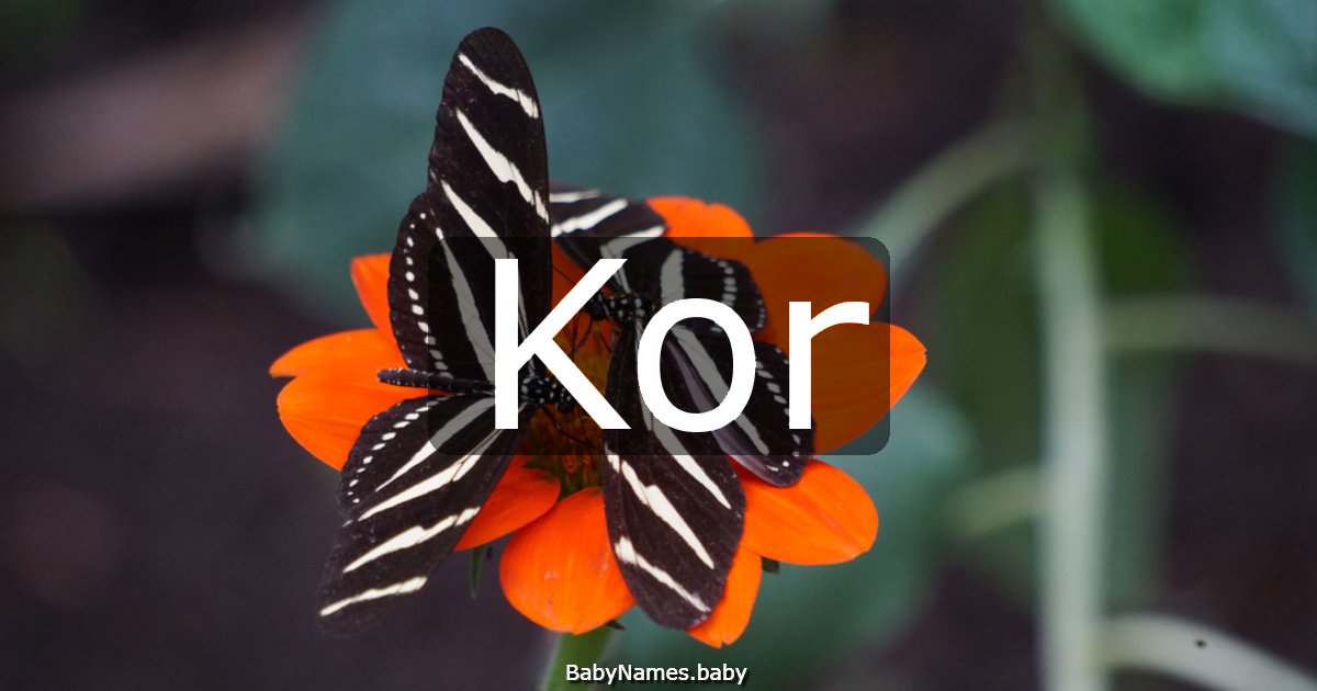 Kor