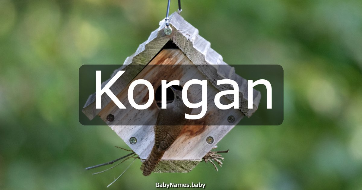 Korgan