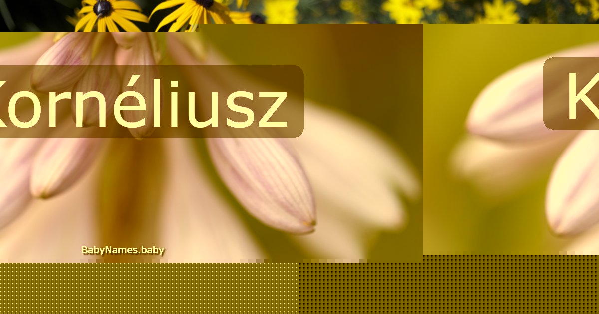 Kornéliusz