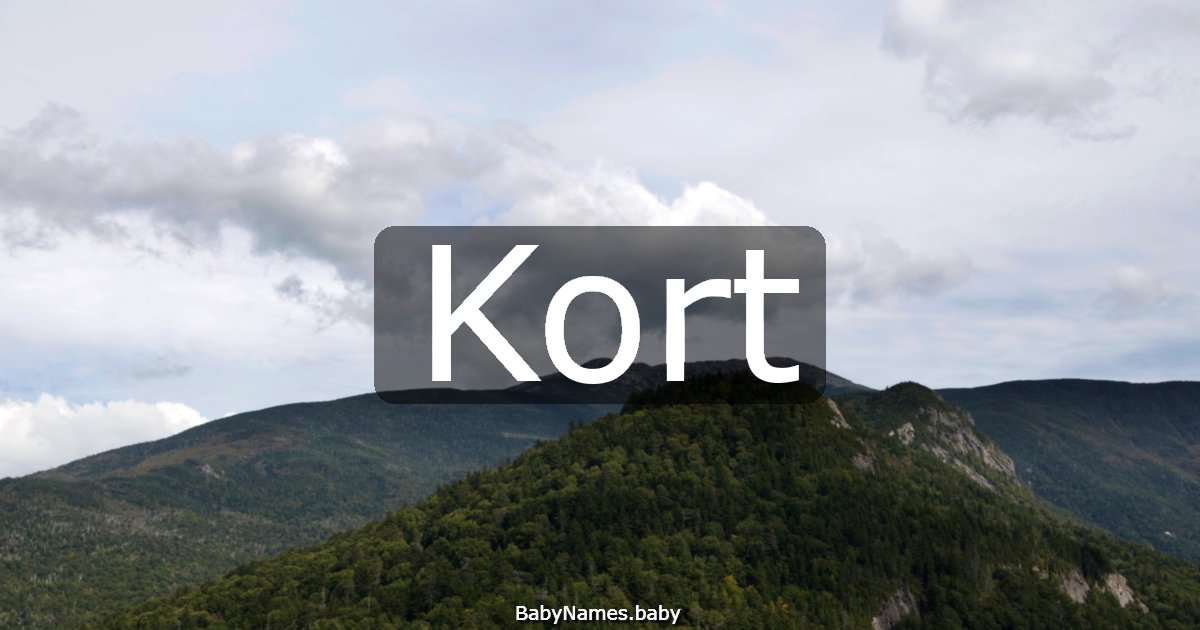 Kort