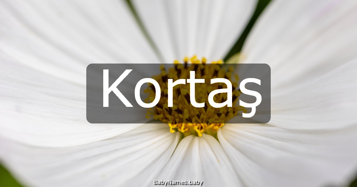 Kortaş