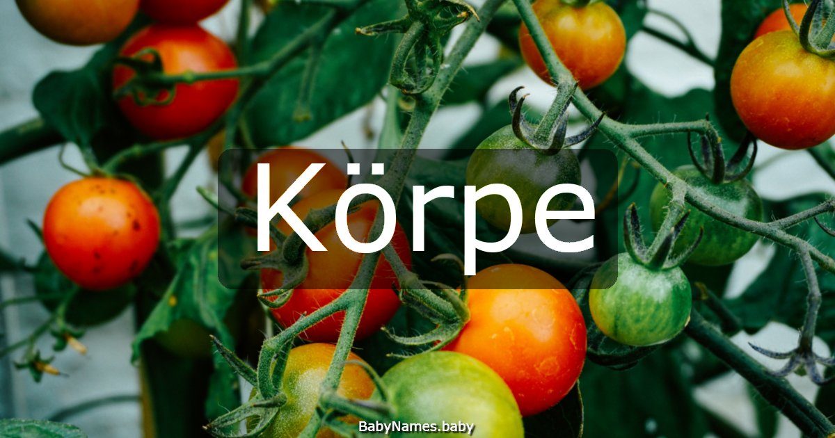 Körpe