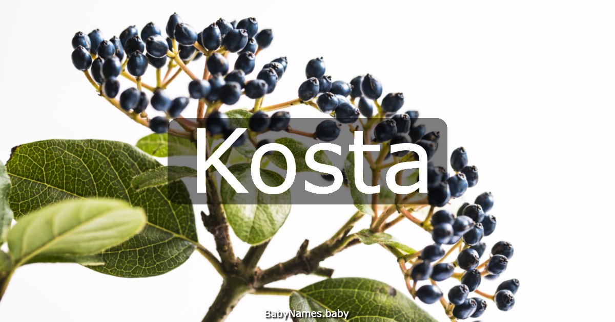 Kosta