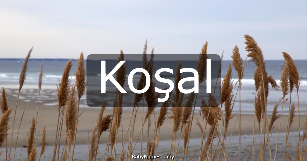 Koşal