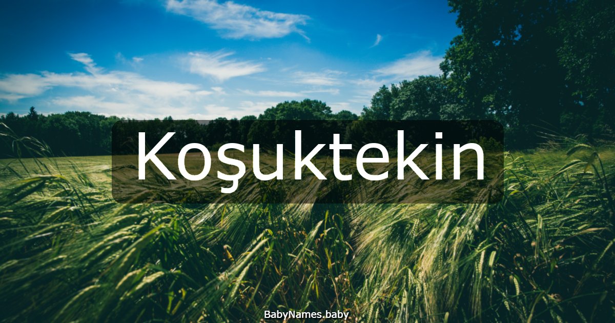 Koşuktekin